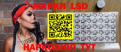 a pvp Новозыбков