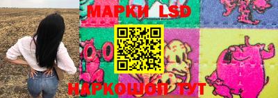a pvp Новозыбков