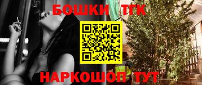 тгк Новокубанск