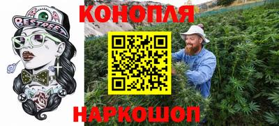a pvp Новозыбков