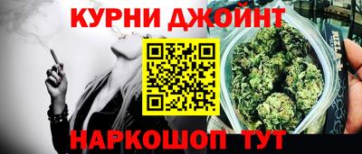 a pvp Новозыбков