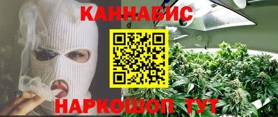 a pvp Новозыбков