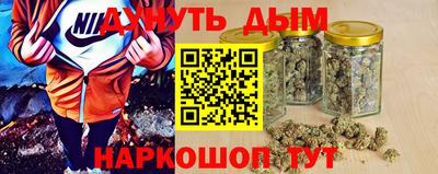 a pvp Новозыбков