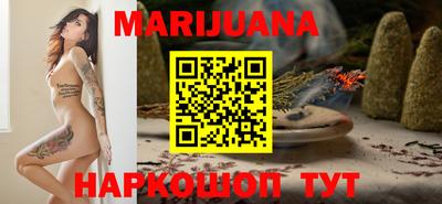a pvp Новозыбков
