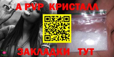a pvp Новозыбков