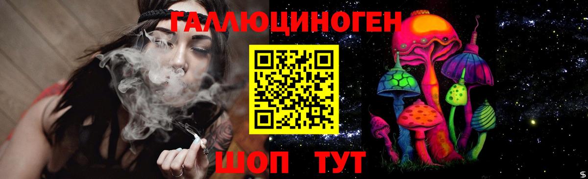 Шали  Псилоцибиновые грибы Psilocybe  Вход с VPN 